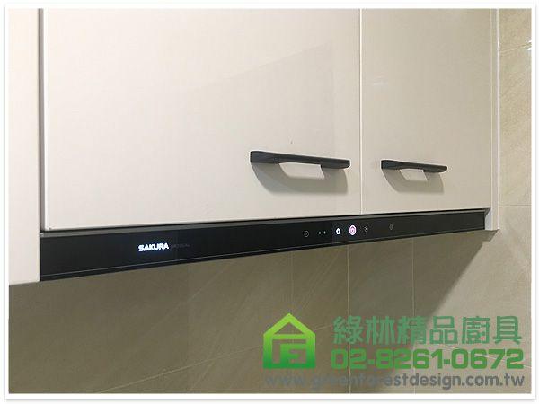 新北市板橋區漢生東路姜先生 一字型255cm廚具+ 60cm電器櫃 3 17 24