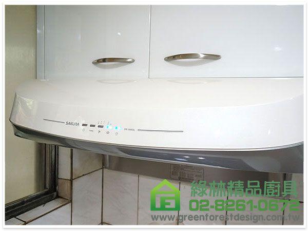 台北市中山北路二段吳小姐 一字型300cm廚具 3 DSC01580